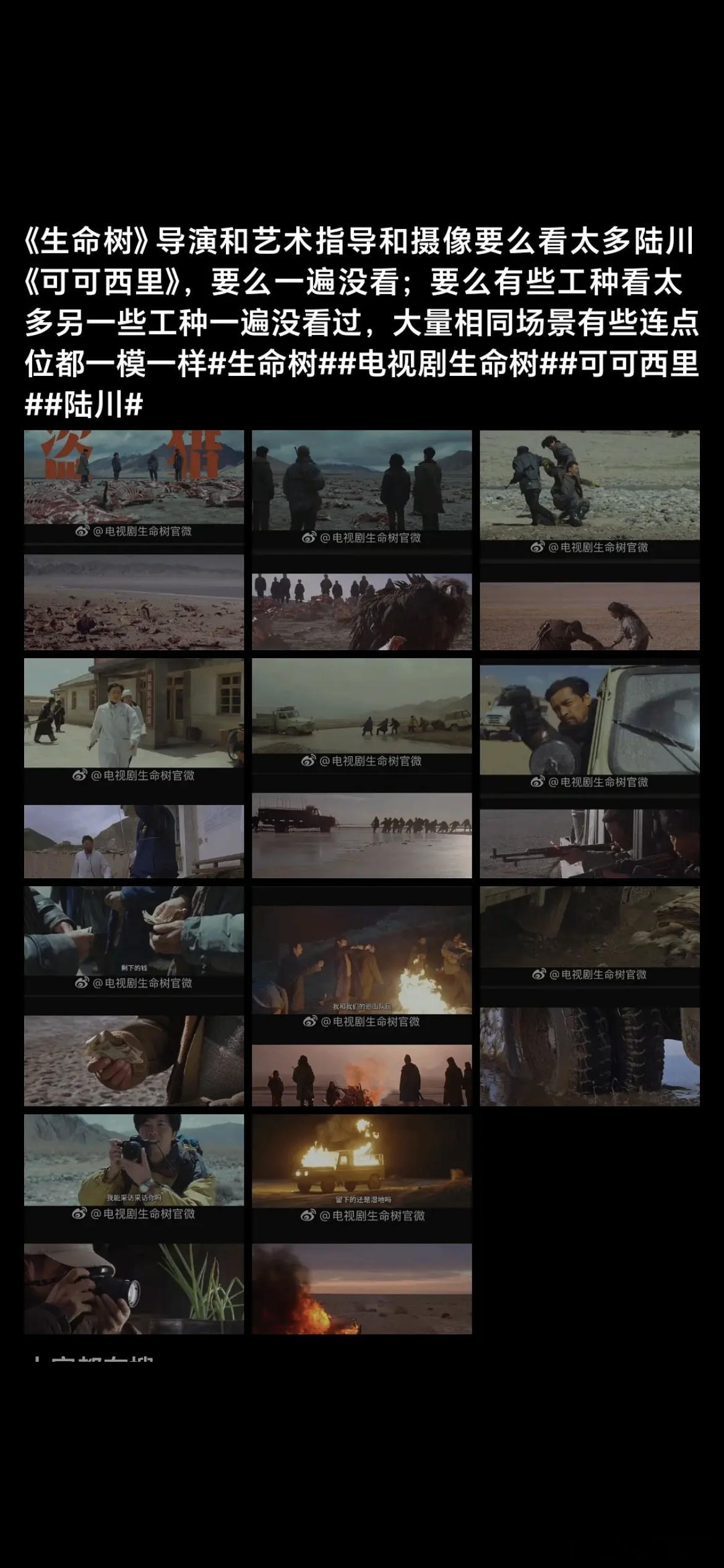 杨紫说拍生命树最大收获是收获好友感觉镜头抄袭也有95%了？