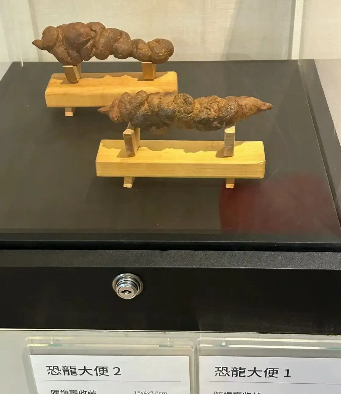 现在什么世道啊？大便也是收藏物？？？