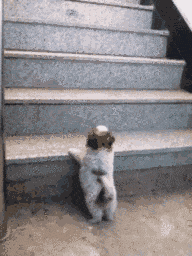 搞笑gif: 眼镜都成这样了, 能换个防雾的吗