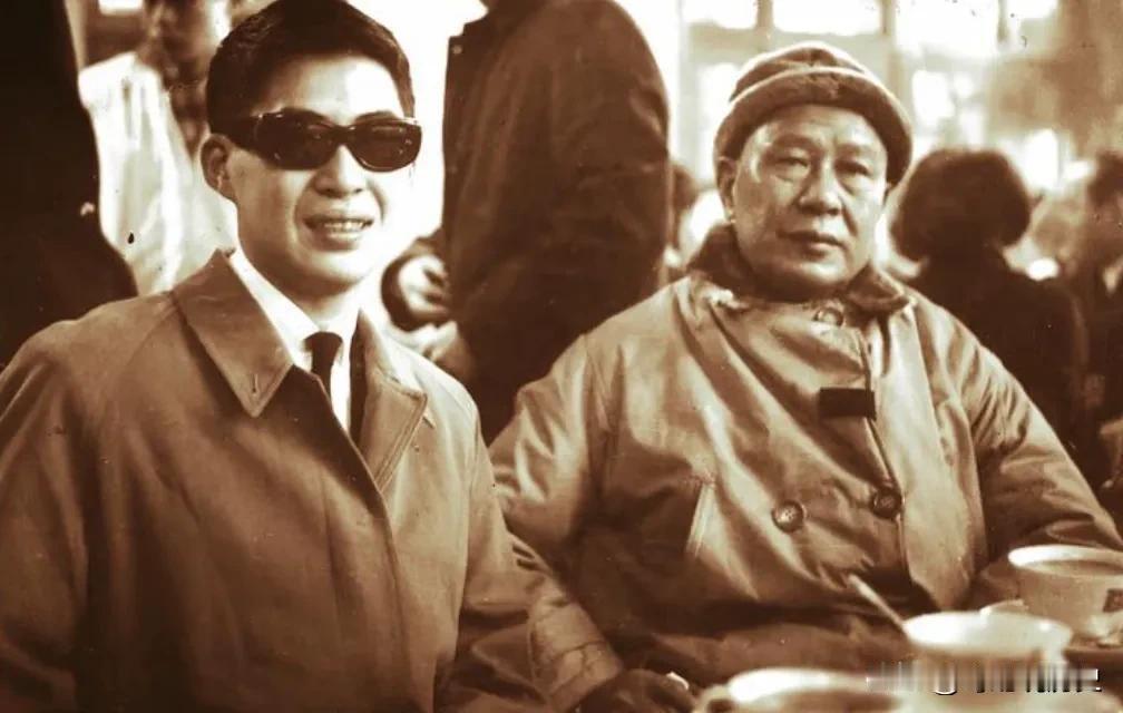 白崇禧一生最大的成就是养了一个好儿子白先勇。白先勇被誉为小说家里的奇才，有人甚至