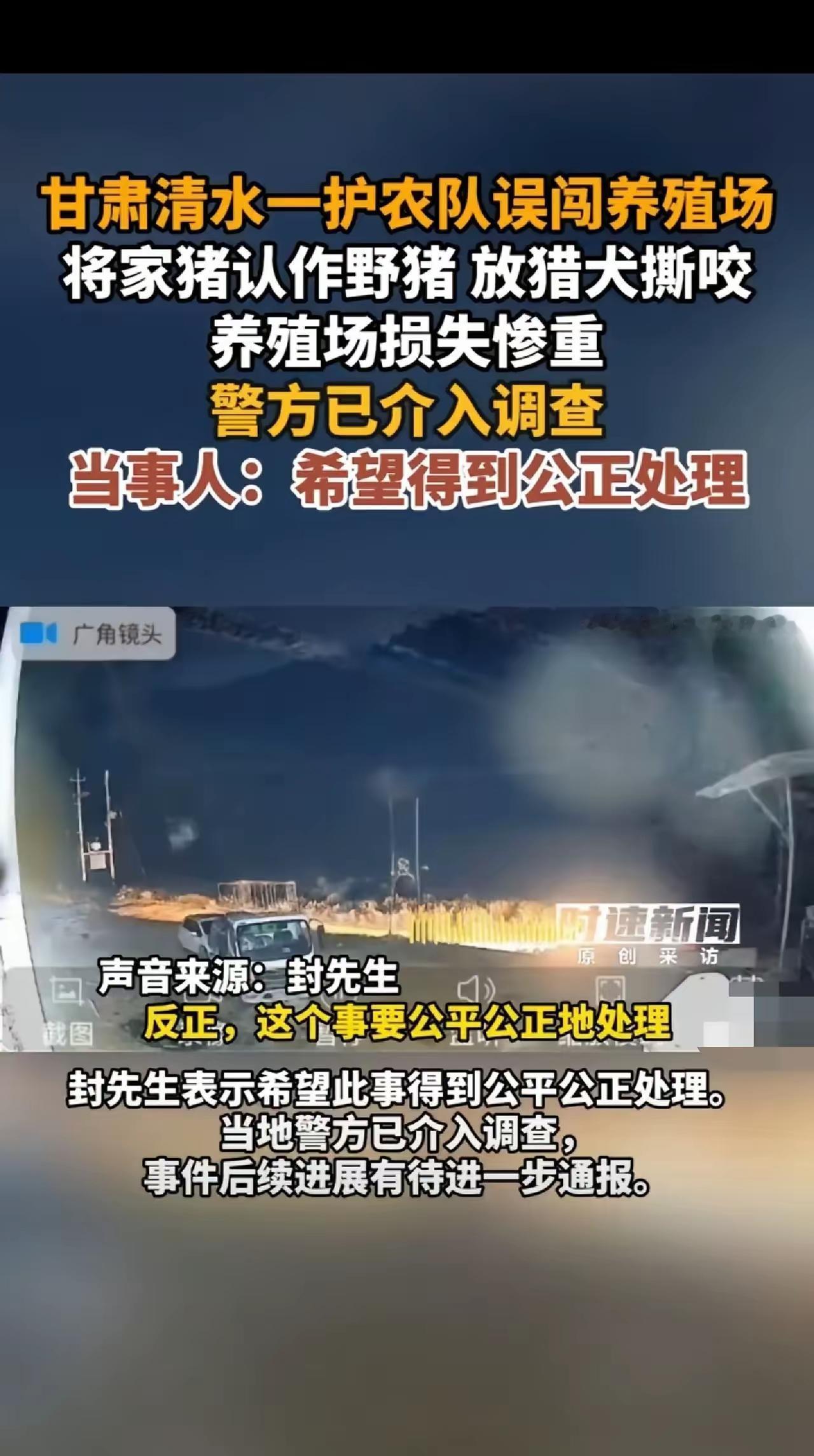 误会大了！猎犬撕咬农户家猪，公益护农直播失手，一句判断失误能抹平损失？误会