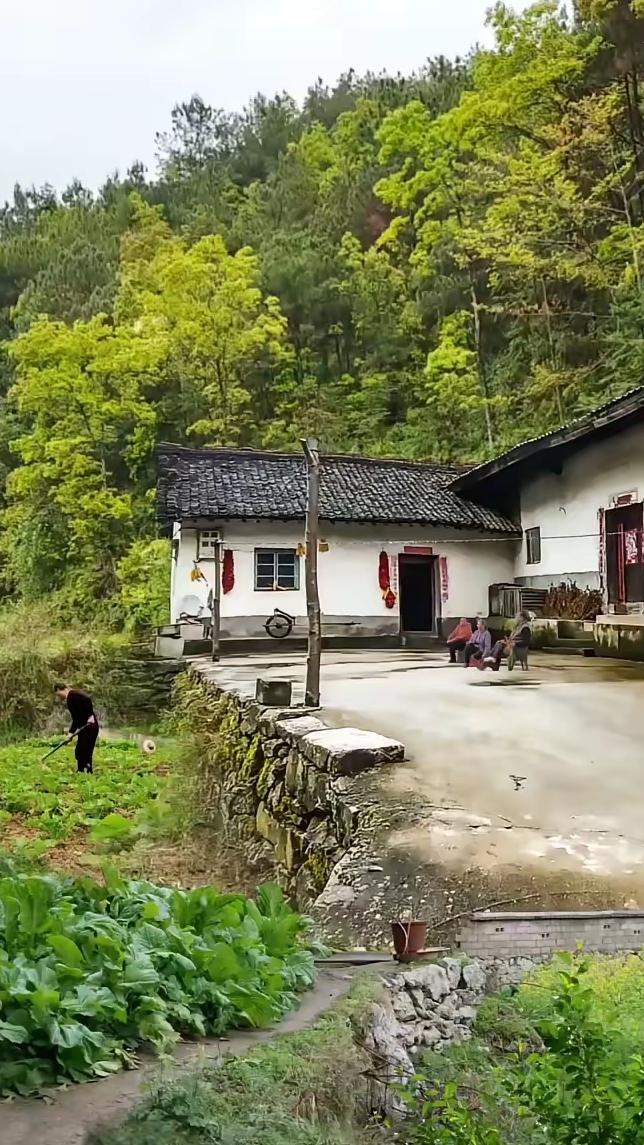 一位退休教授说出让我醍醐灌顶的话：“父母能活到八九十岁，其实是几世修来的福气。人