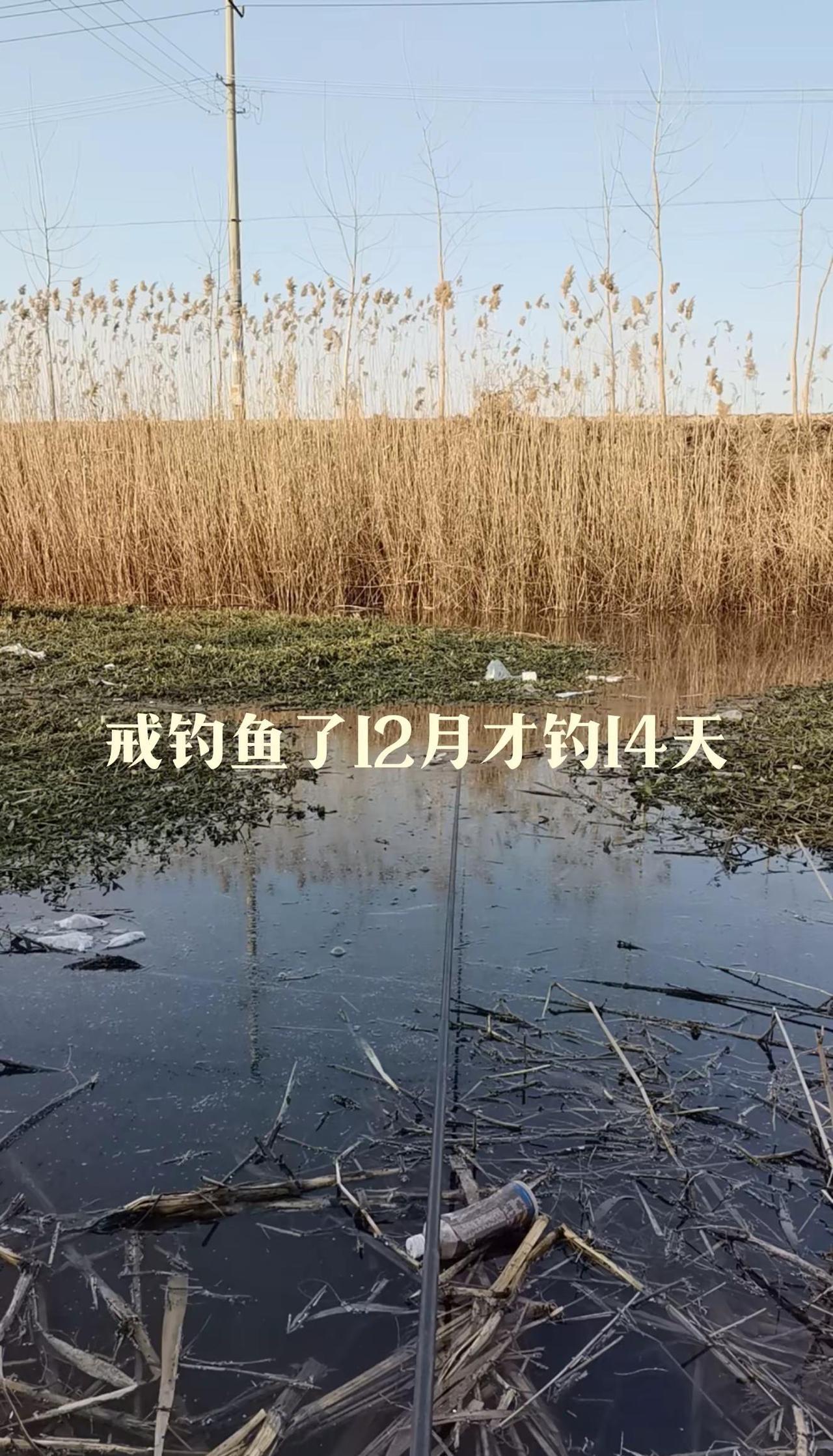 别再嘲笑钓鱼佬了，他们正在偷偷治愈你的城市病。上周末，我在河边枯坐三小时。浮