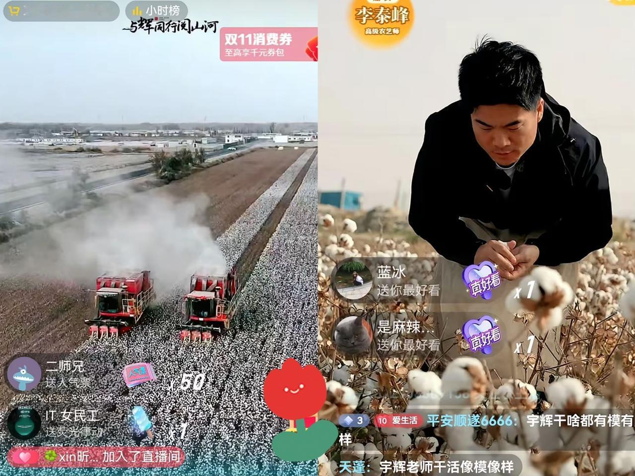 不得不佩服宇辉，这脑子转得也太快了！新疆行原本的采棉花活动可是特意争取来