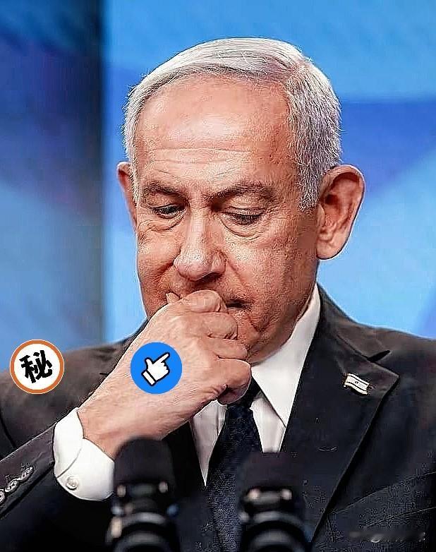 以色列传来消息！这下咱们可算是开了眼了！美国副总统居然给以色列总理“汇报工作