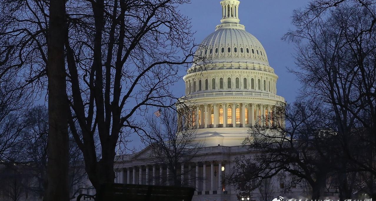 【夺回两院？国会民主党人就如何重掌国会产生分歧】民主党国会议员正在就是否需要系统