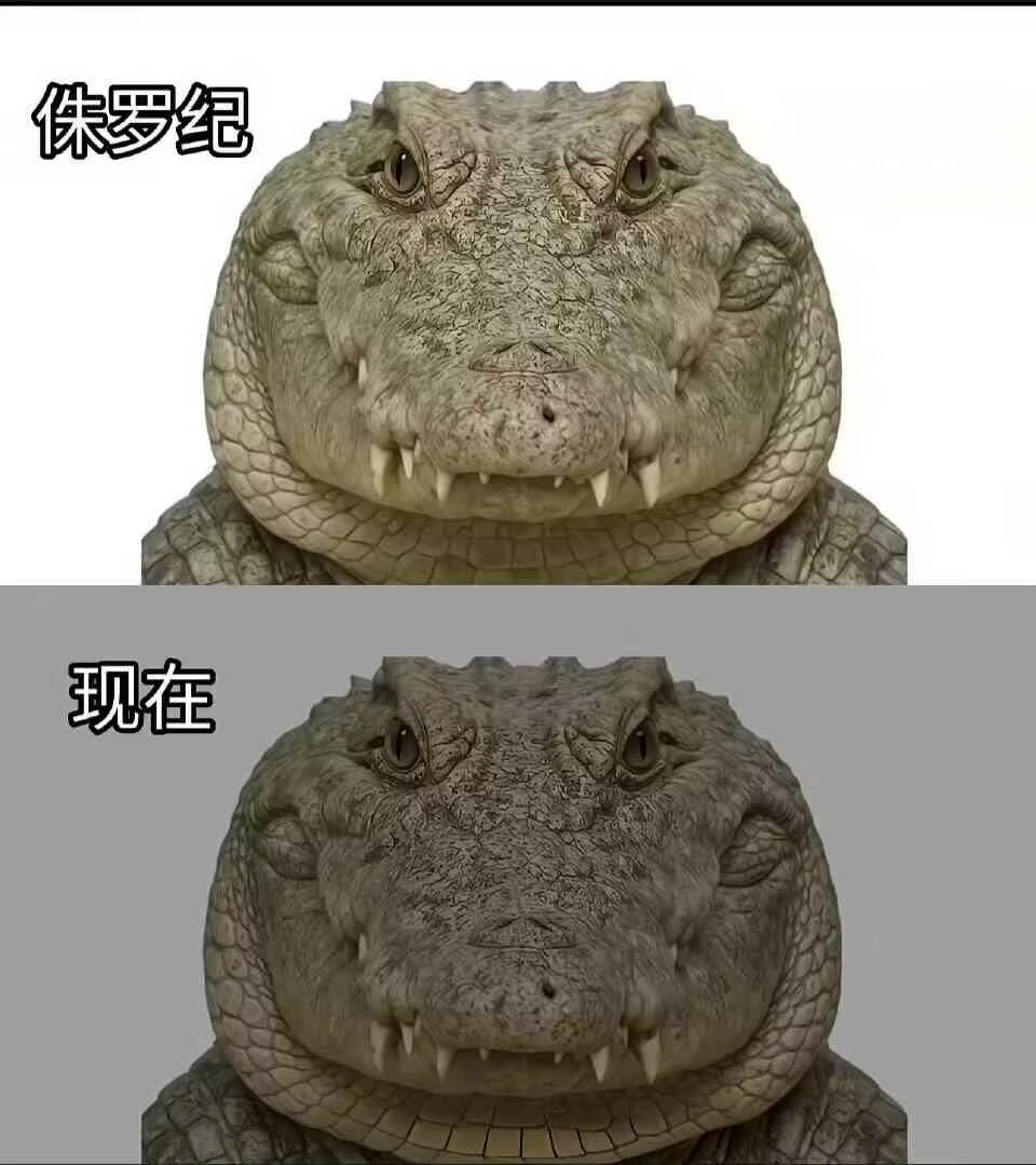 🐊🐊🐊我是最神奇的鳄鱼🐊🐊🐊
