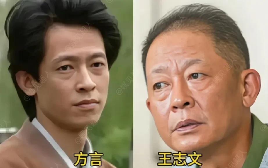 1994年电视剧《过把瘾》时隔31年后演员变化！