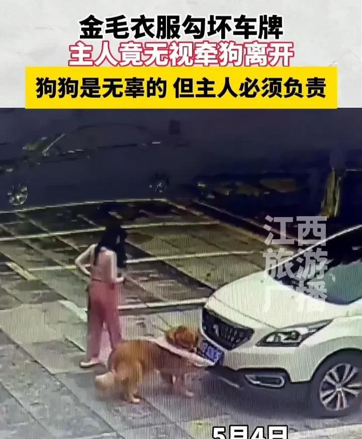 这名女子必须回去道歉！5月4日，湖南长沙一名女子在遛狗时，由于一时没注意，导致小