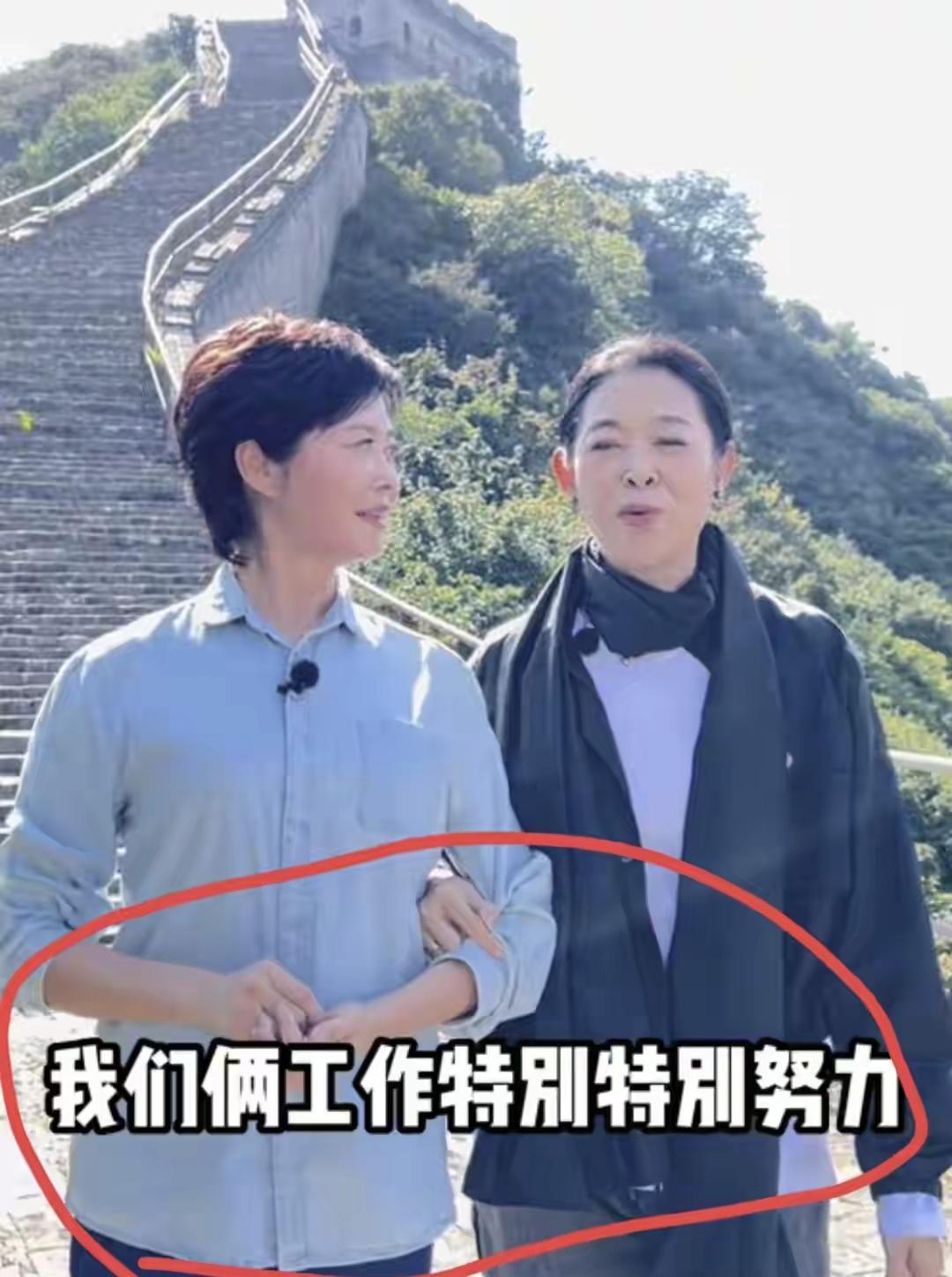 倪萍跟敬一丹工作都那么努力的背后，是不一样的，倪萍是有生存焦虑，敬一丹更多的是自