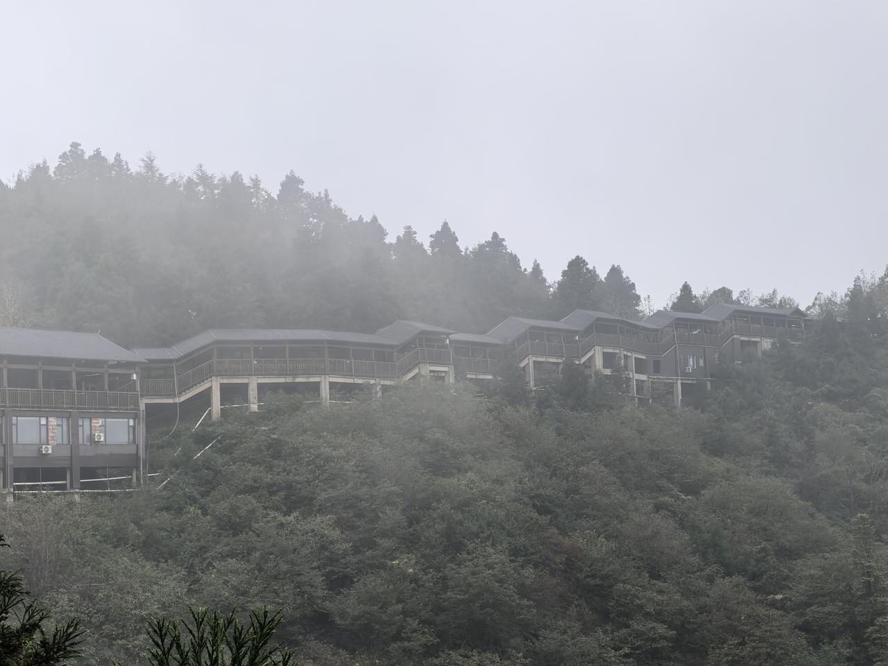 五岳之一的衡山，山上的风景一般，体验感同泰山差不多，就是为了爬山，比泰山更容易