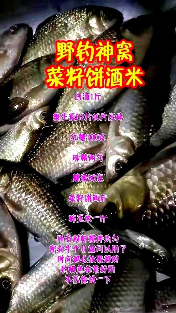 早春钓鱼老空军？试试这招，水色黄得晃眼！老钓友传的土方子，成本低到笑。40片