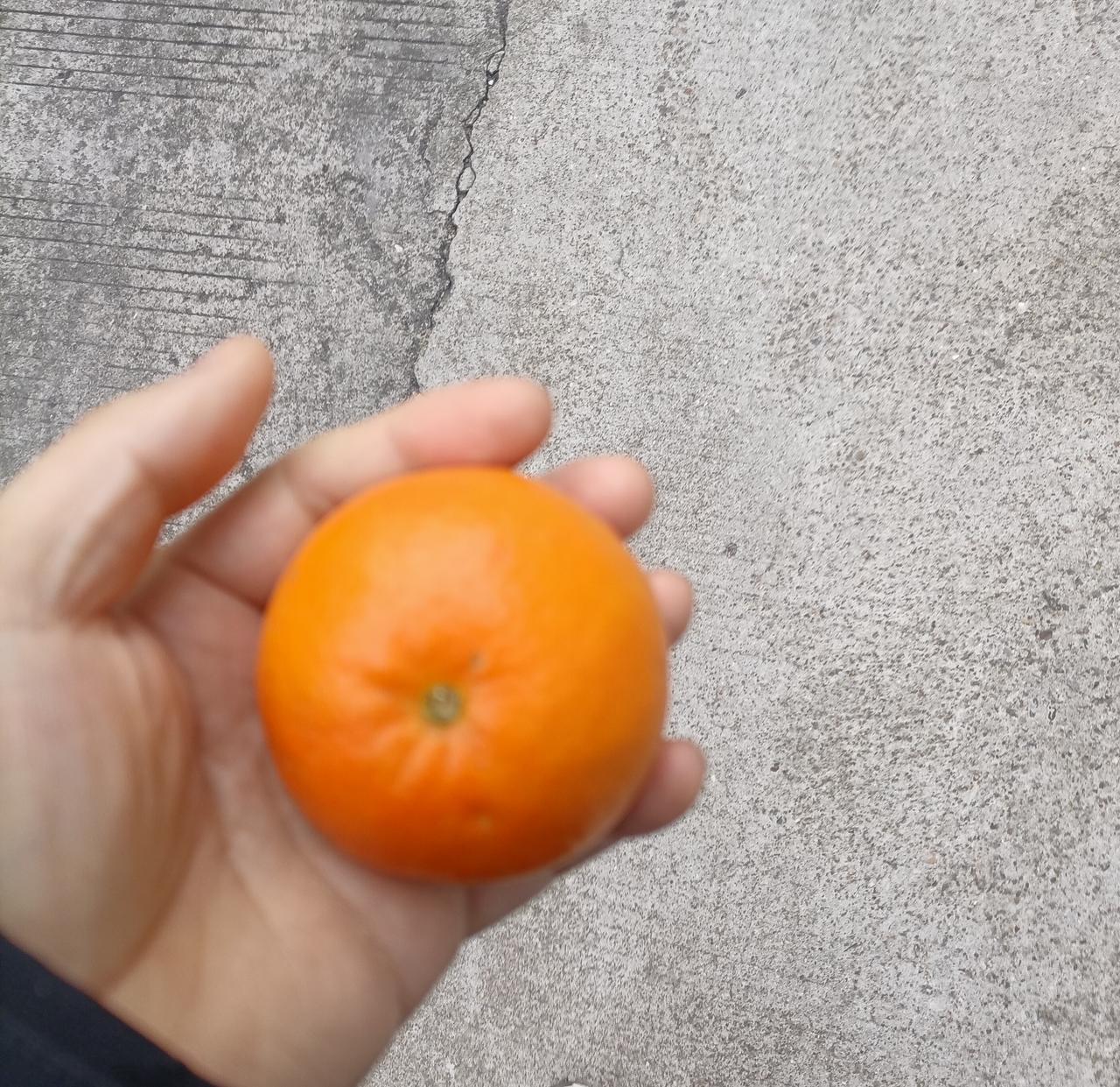 终于明白个事，有些店里剩的食物，为什么宁愿倒掉也不会直接送人。公司每餐都会发