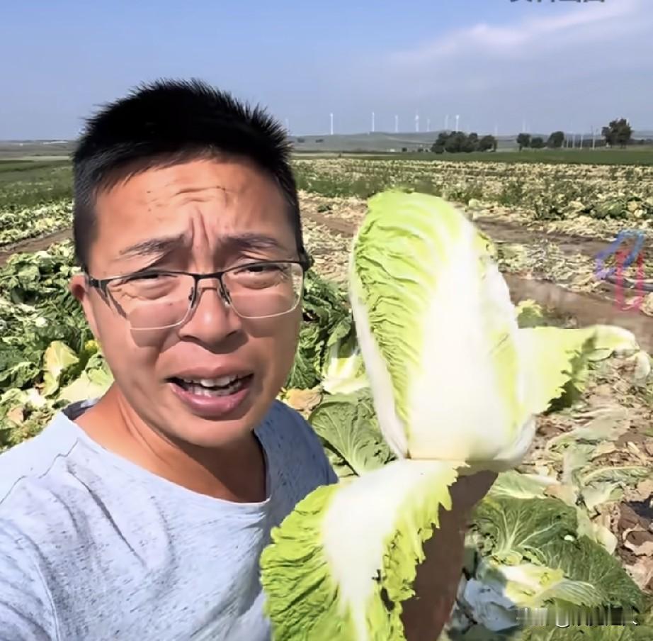 张家口“甲醛白菜”闹得人心惶惶，买菜都开始不踏实了。到底怎么分辨？一位接触过