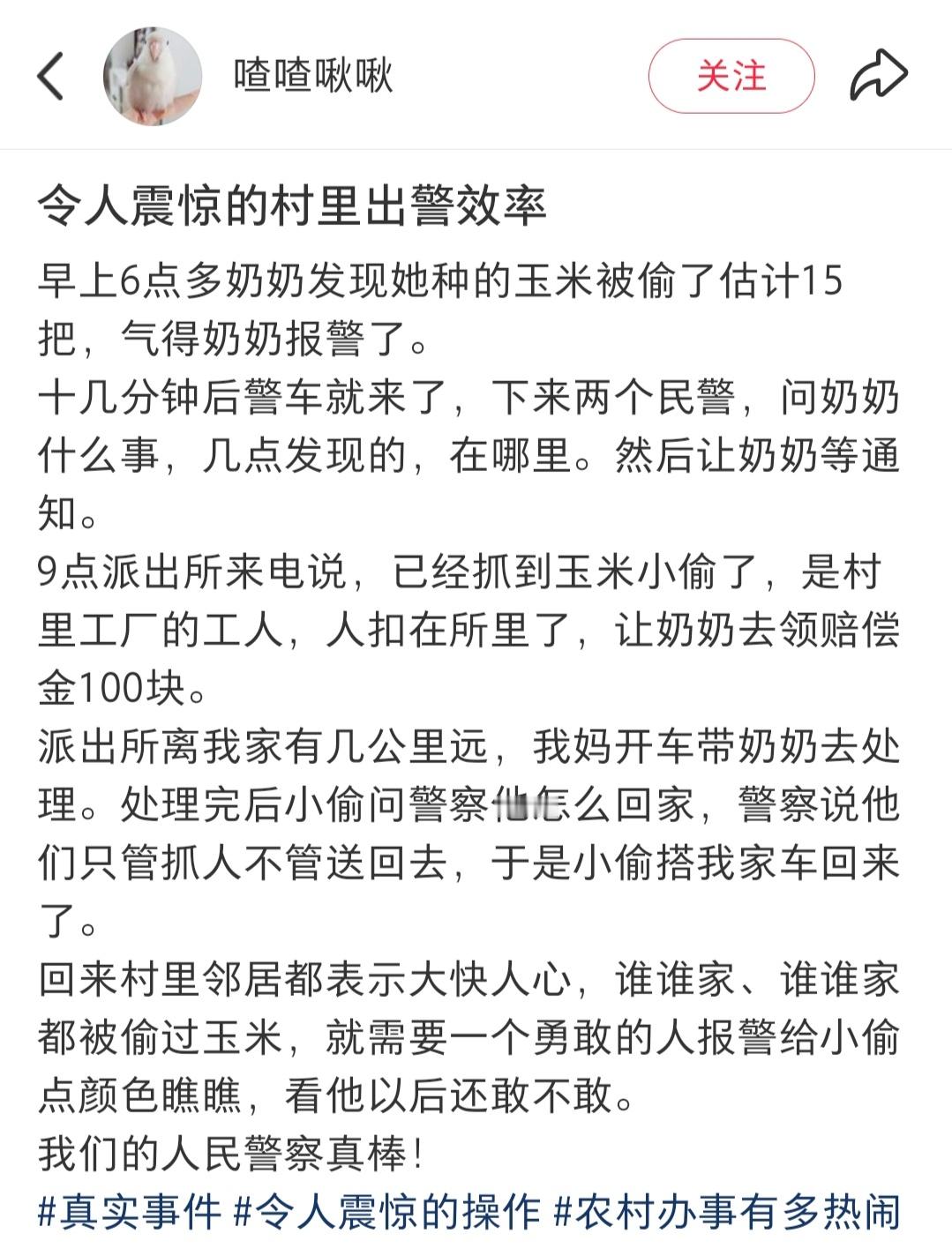 令人震惊的村里出警效率