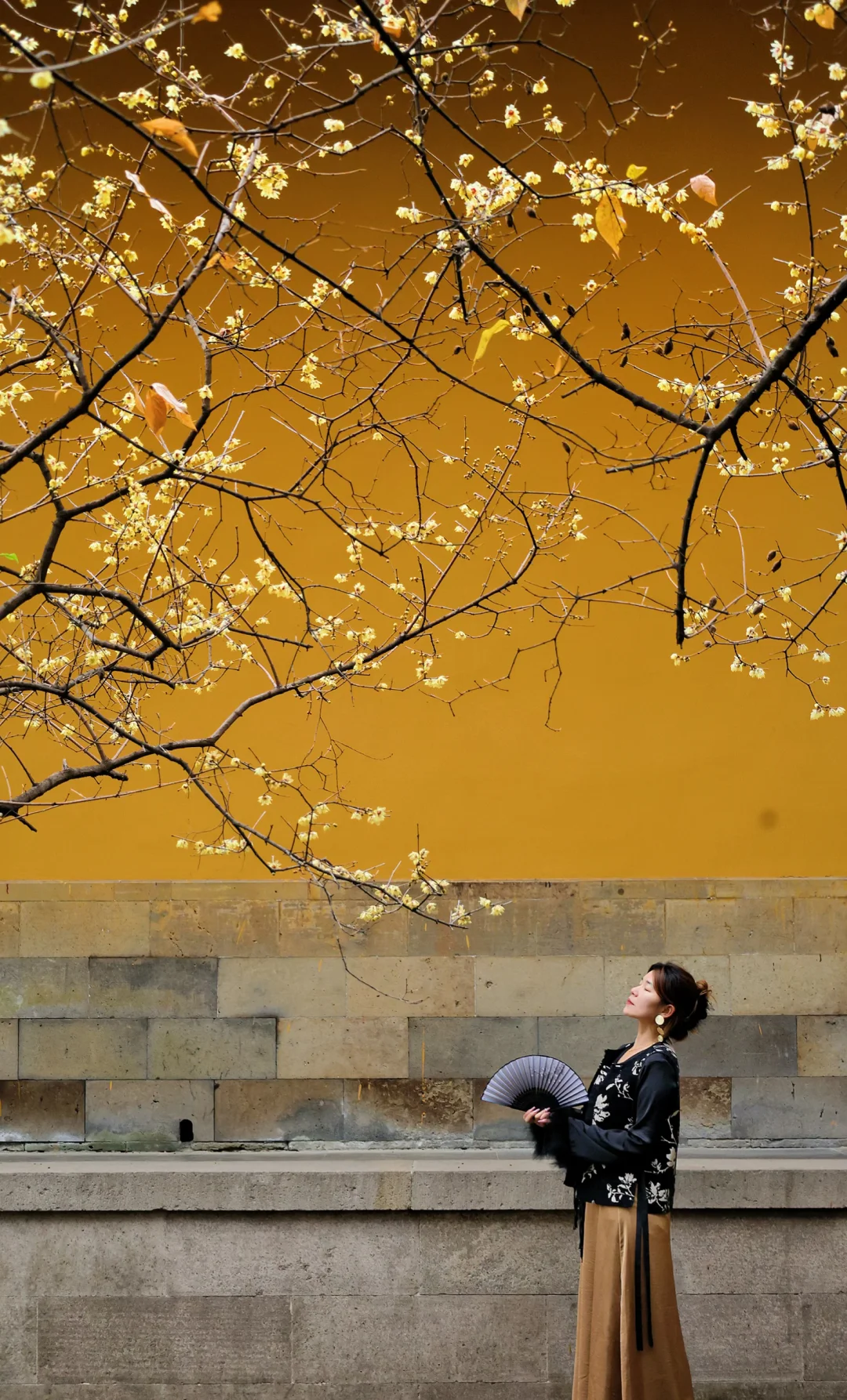 2026苏州园林赏腊梅一日游路线❗️附攻略😌