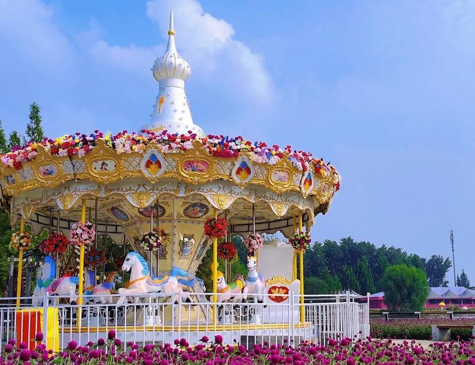2025北京菊花文化节开幕九月的北京，秋风送爽，2025北京菊花文化节于9月1
