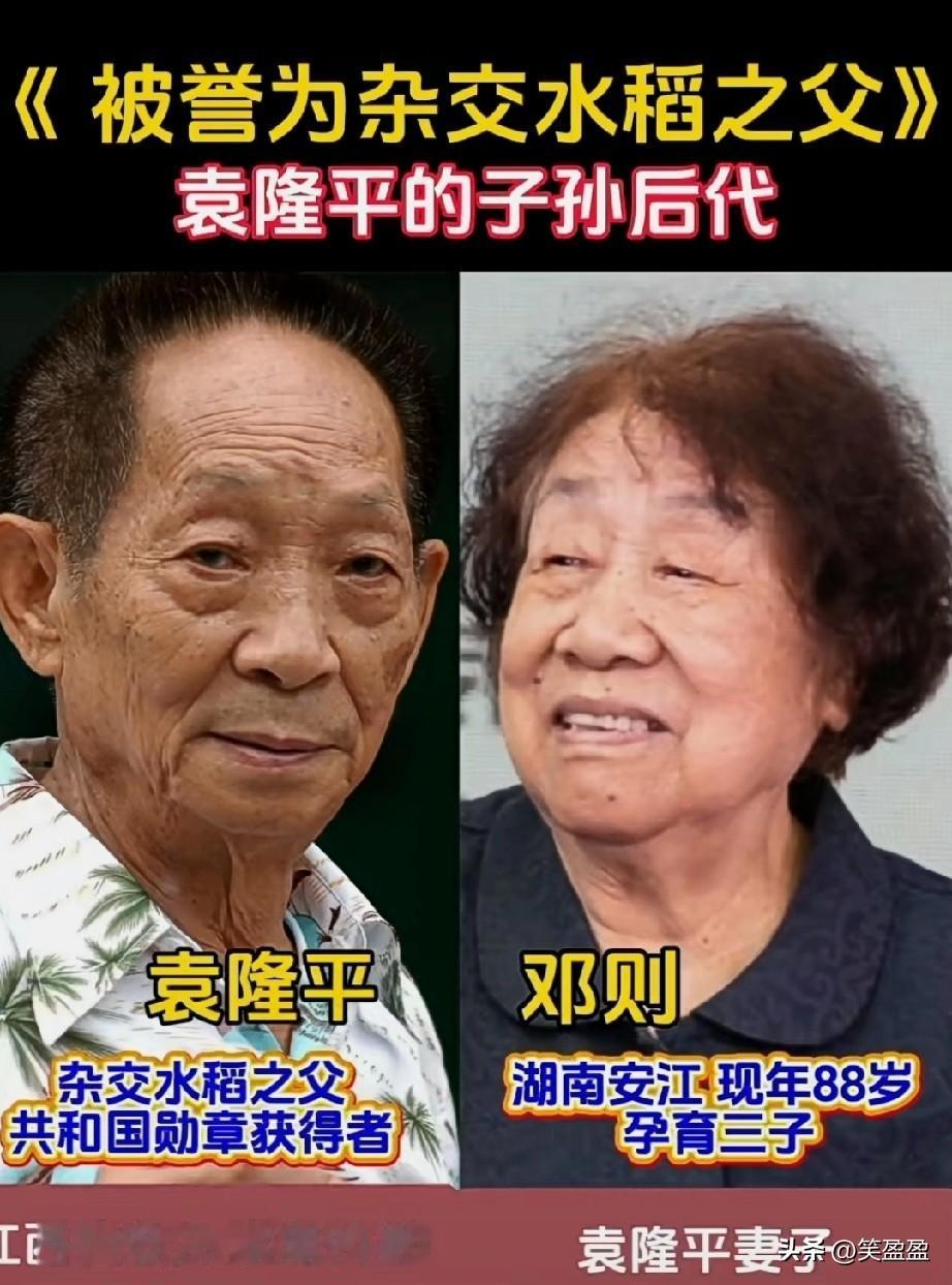 《被誉为杂交水稻之父》袁隆平的子孙后代同框，一家都是为国家做事的正能量人，致敬袁