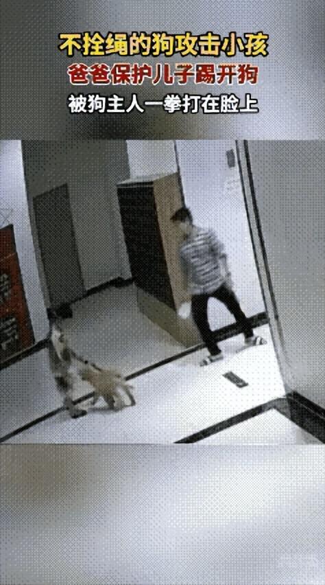 “揪心又气愤！”昏暗楼道角落，小男孩缩在墙角浑身发抖，无绳大型犬步步紧逼，尖利獠