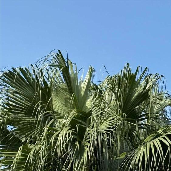 媒体披露柳州市原官员高贤斌的信息 12月6日，一则关于该市原官员高贤斌的信息