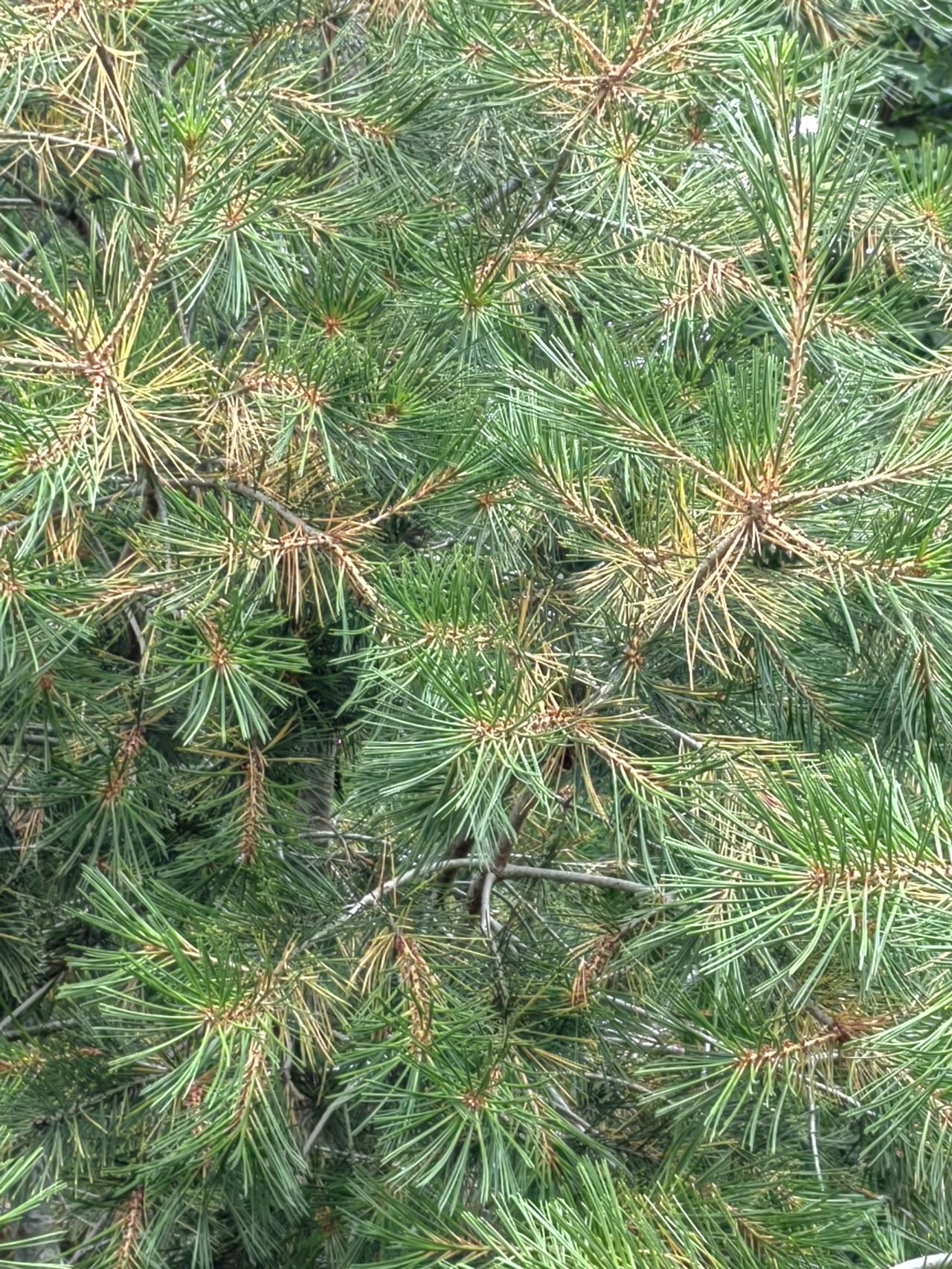 某位职校教师，在课堂上被一男学生骂“SB”，装作没听见，事情就那样过去了。有同