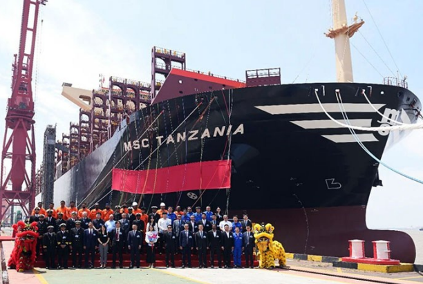 8艘, MSC继续疯狂买船, 中国船东大赚