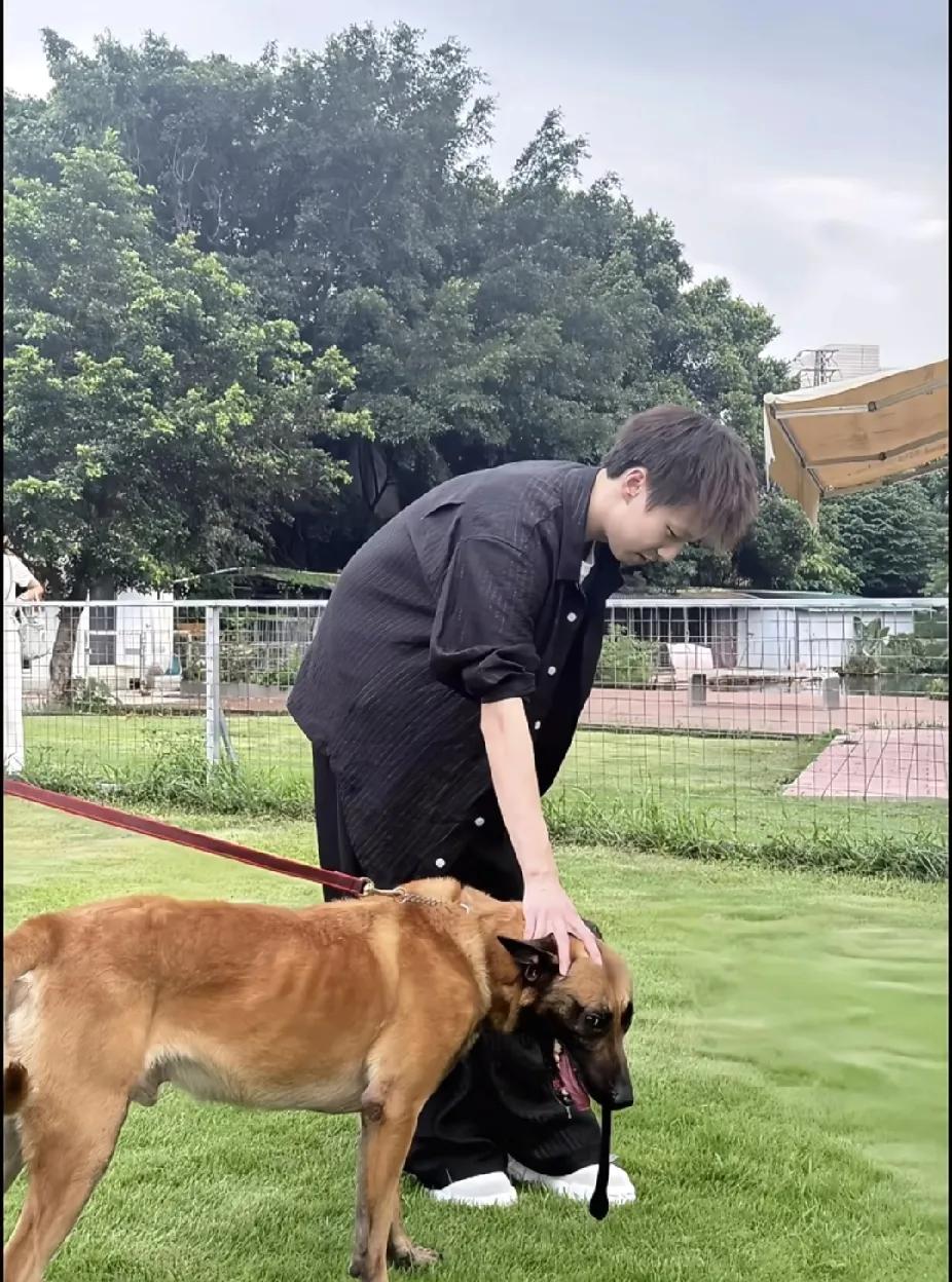 被林高远和狗狗这组图暖到啦🐶谁懂！刷到林高远和狗狗互动的照片，瞬间被治愈