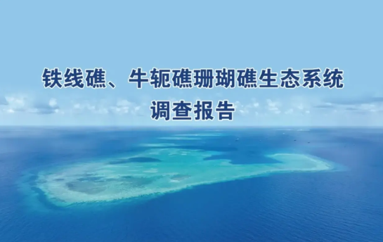 中方公布首份调研成果，直击菲律宾要害，小马科斯政府编造的谎言被彻底戳破，再难自圆