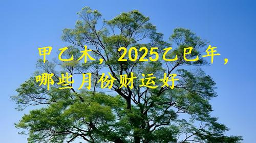 日干甲乙木, 2025乙巳, 哪些月份财运好