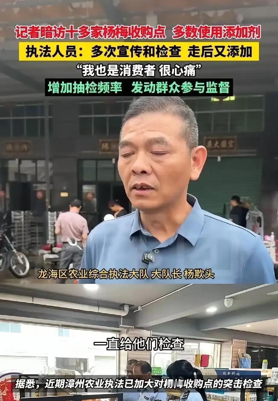 良心不会痛吗？观察者网5月16日报道，福建漳州，记者暗访当地杨梅收购点，随手拿起