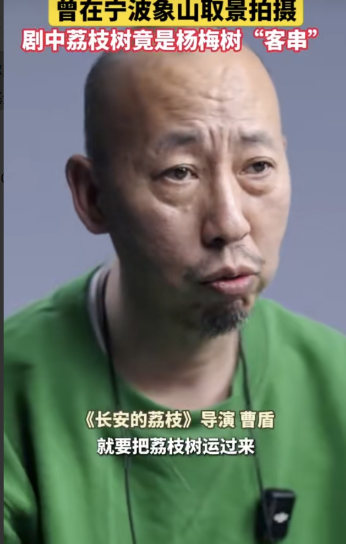 《长安的荔枝》又出问题了！导演曹盾亲自承认，如果要拍荔枝树，就需要将荔枝树运到