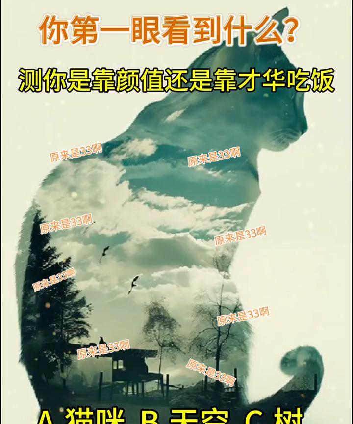 你第一眼看到什么？测你是靠颜值还是靠才华吃饭。原来是33。A.猫咪；B.天空；