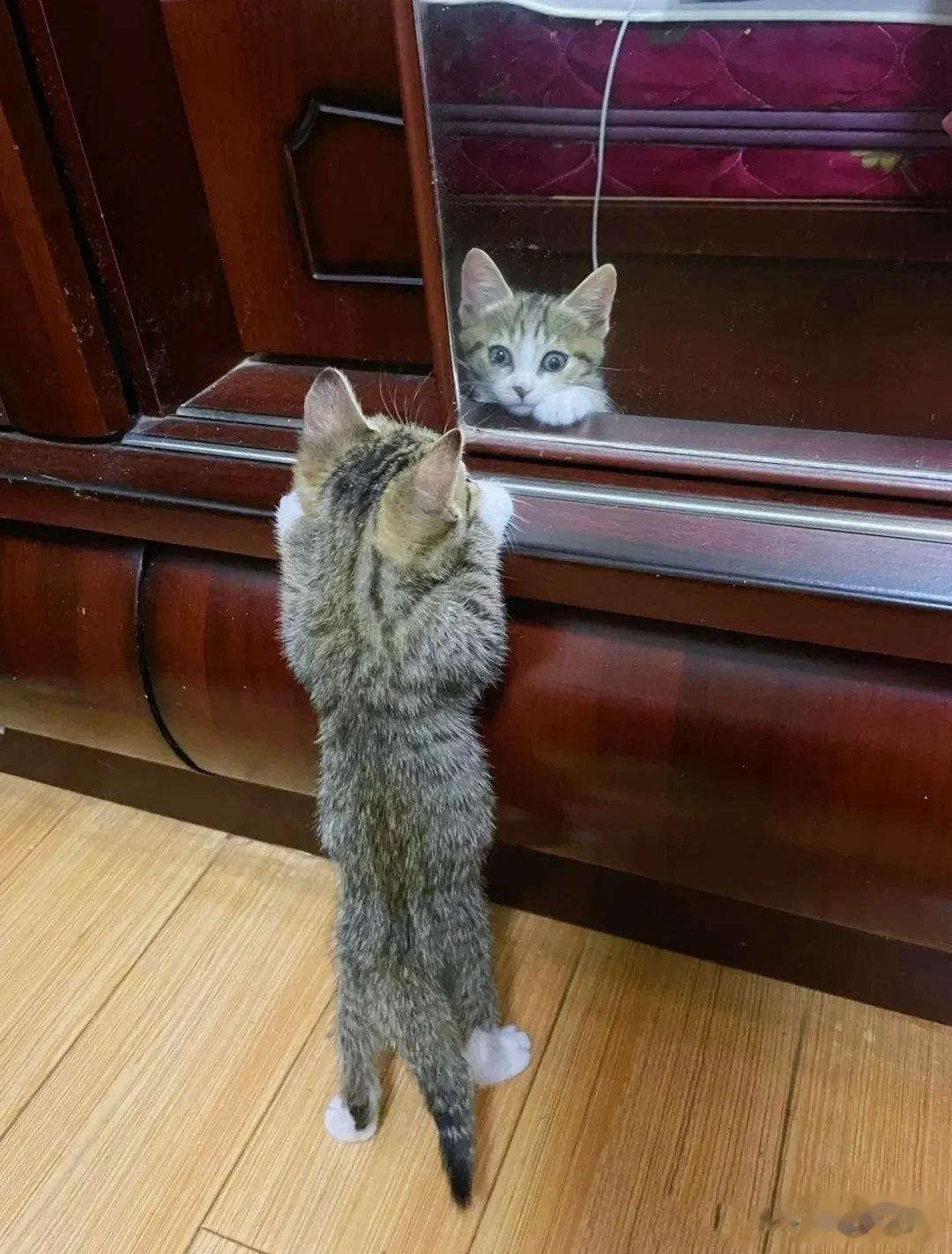 第一次照镜子～“这是谁呀”？