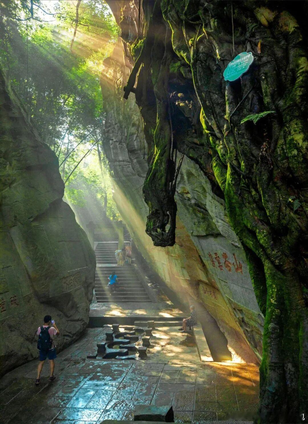 顺着三江江水一路向南🌊长江自驾线的下一站，奔赴万里长江第一城・宜宾！这座江城