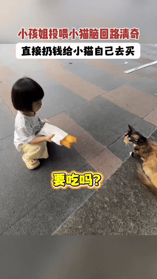 投喂天花板！萌娃嫌油条不合猫咪口味直接给钱小姑娘蹲地举油条邀请小猫进食，猫咪