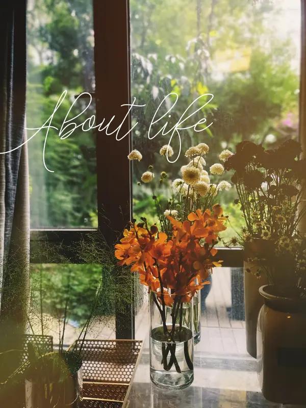 友友说的太对了。成年人的世界里，要学会自愈。想开、看开、放开开心一天是一