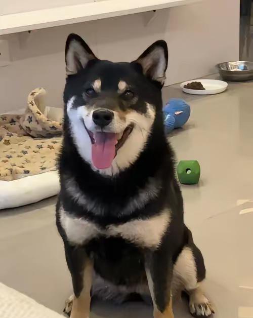 兰州理工西北师大这次不要再错过了就在刚刚过去的12月22日，相