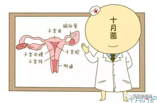 妇科炎症和内分泌疾病存在什么关系?
