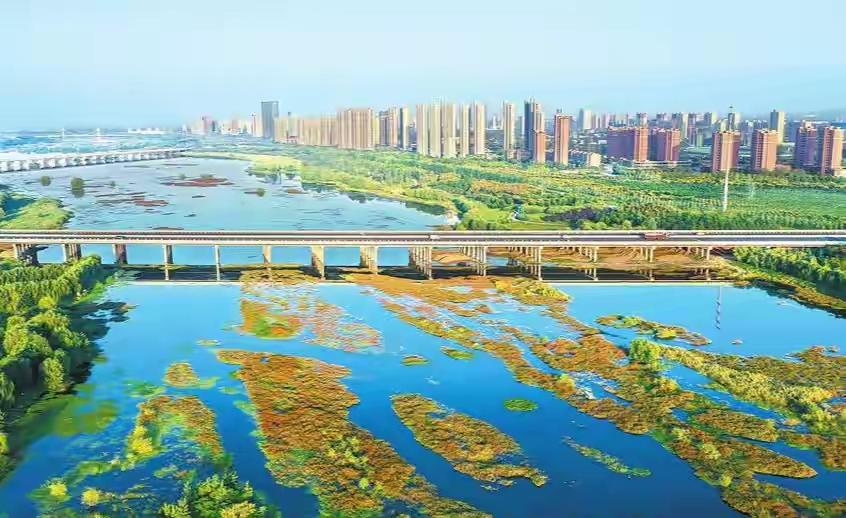 不知道是不是历史的原因，洛阳这个城市与其他城市总是有些不同。目