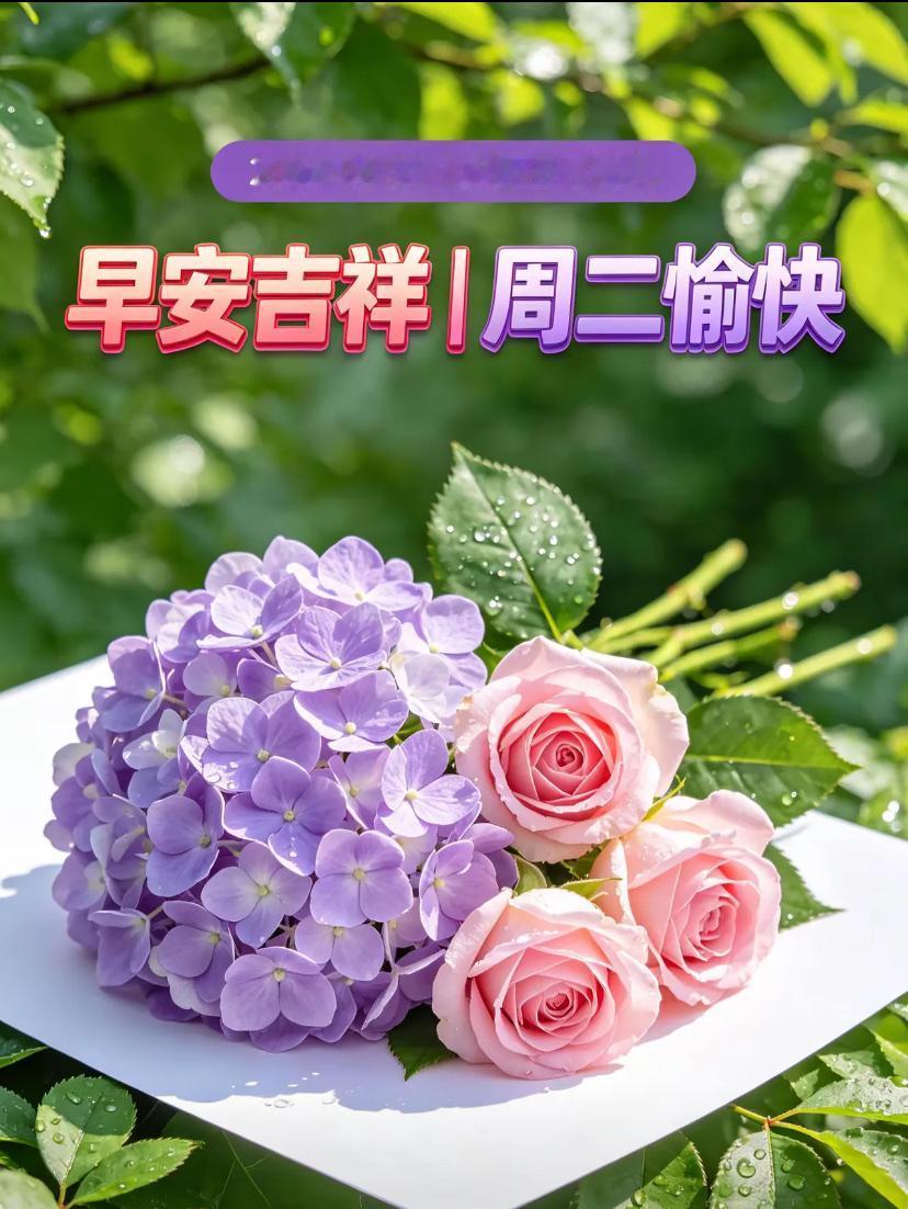 🌺2026./6.23夏日纳福.清凉安康🌺🌈☀️夏日清晨携暖意，载着治