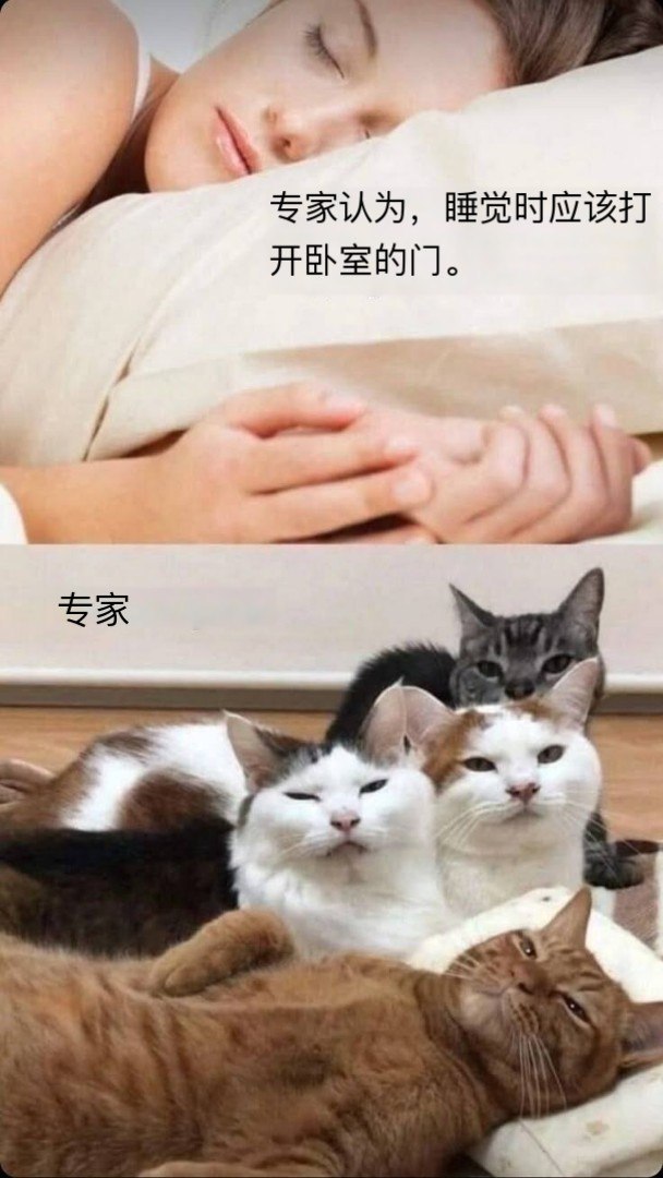 听专家的​​​