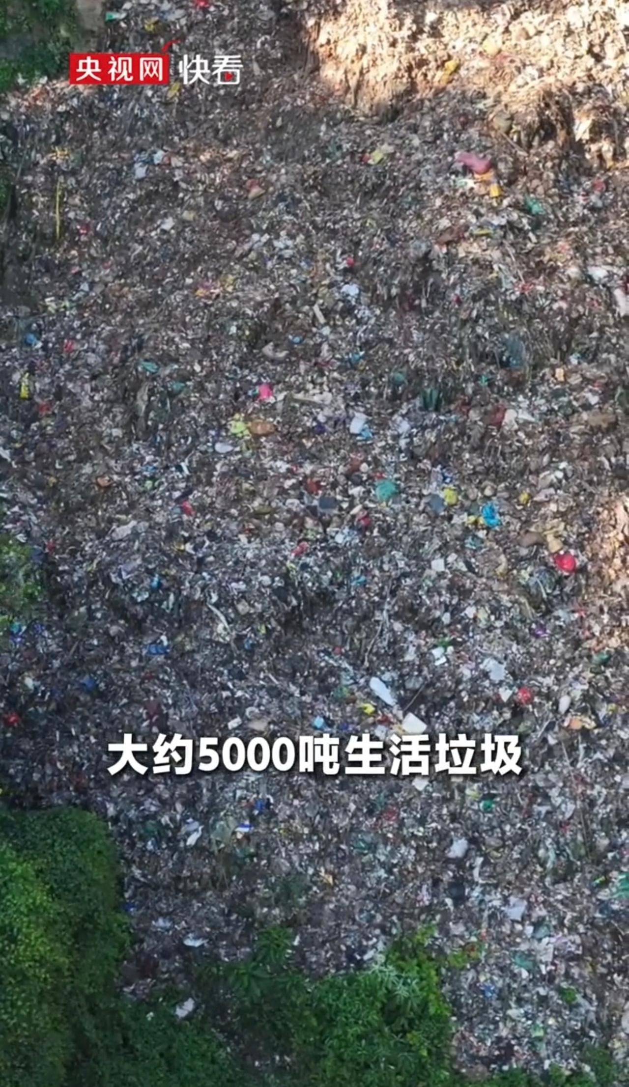 刷手机刷到一条航拍视频，我差点以为云南那个山谷被“垃圾怪”占领了：绿油油的山窝窝