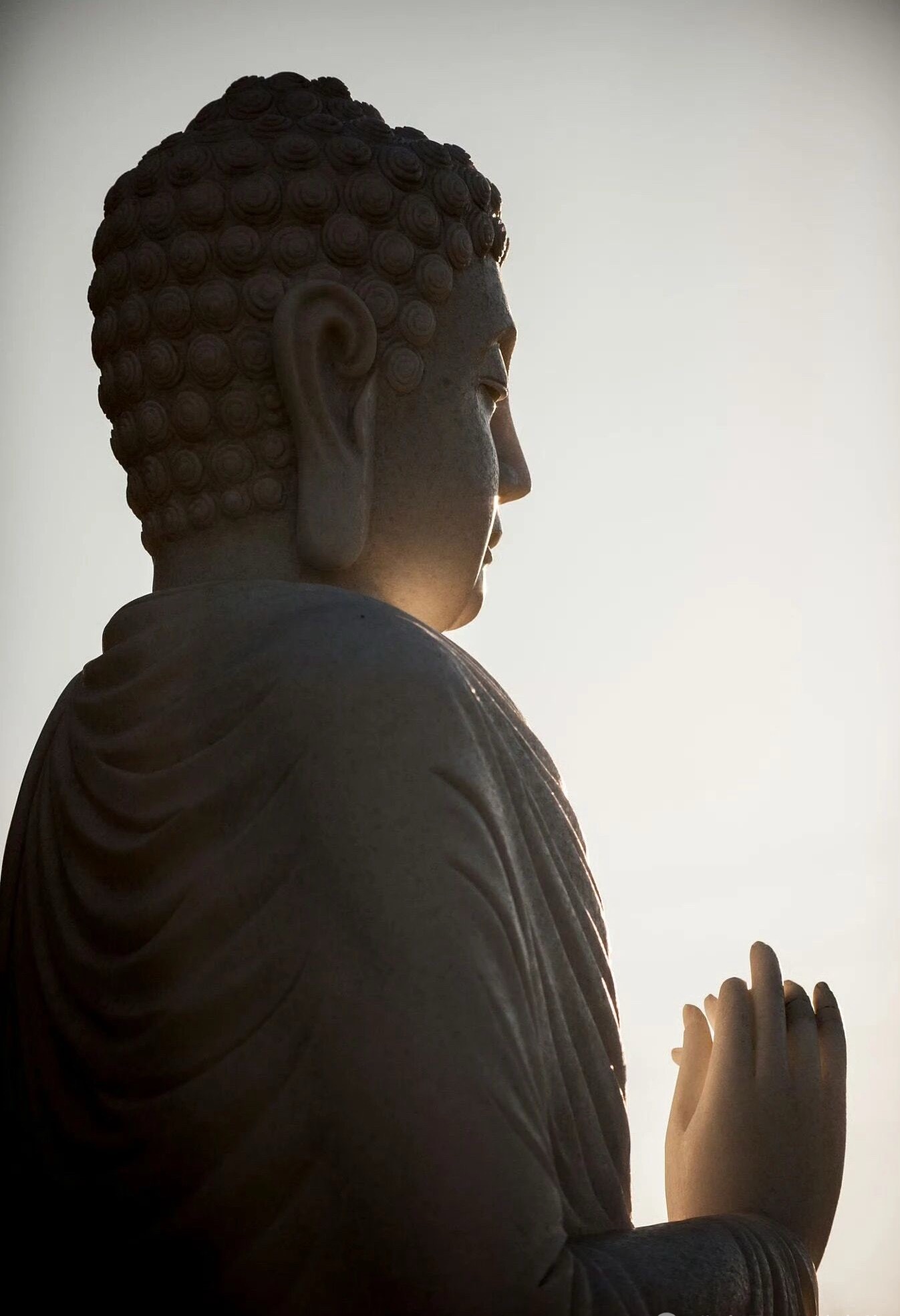 人一旦觉醒变得非常恐怖1、高手是没有情绪的。动不动就生气的人，没有一个是智者，真