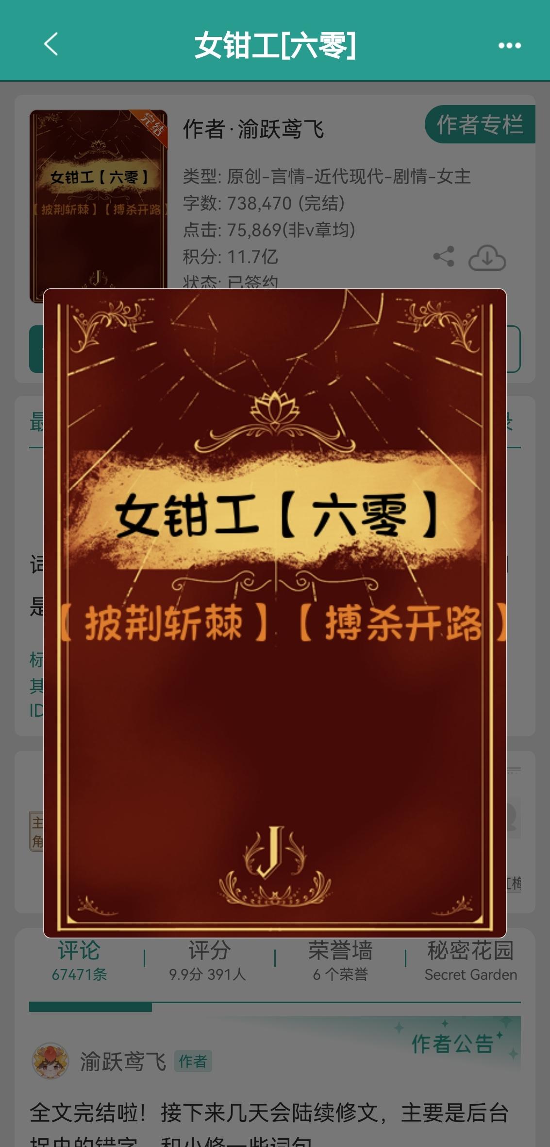 女钳工［六零］。事业文小说作者ps: 1、年代事业文，升级流文，剧情流...