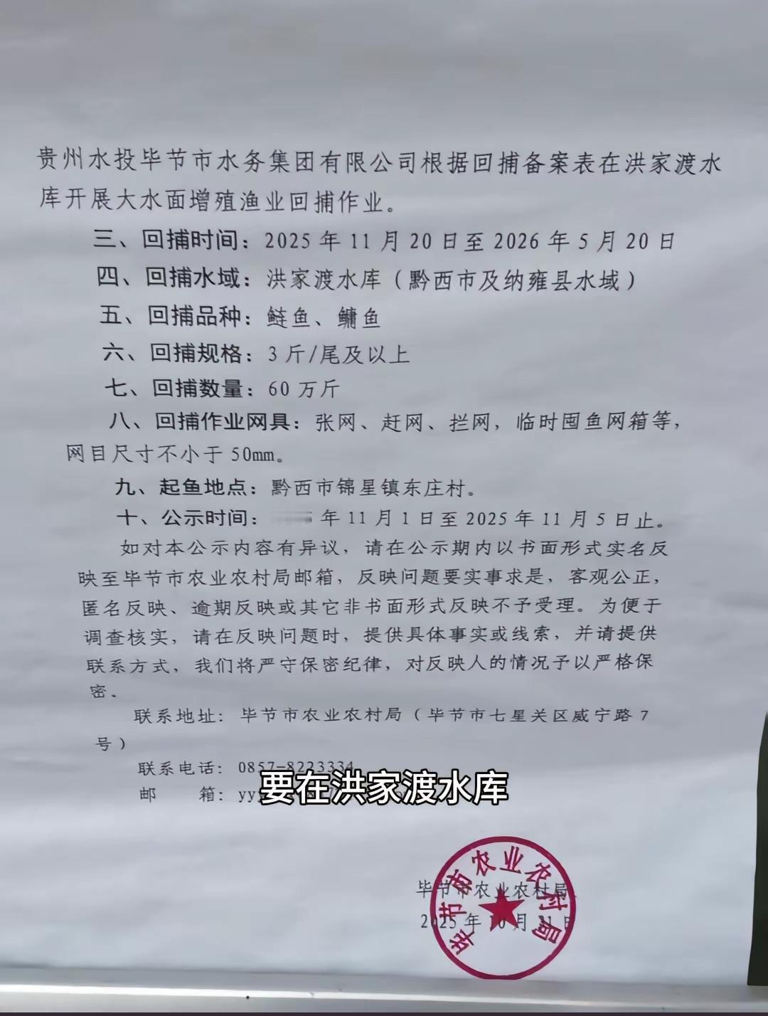 贵州计划在长江禁捕流域（洪家渡水库）捕捉60万斤去年放养的鱼！相关公告已发！