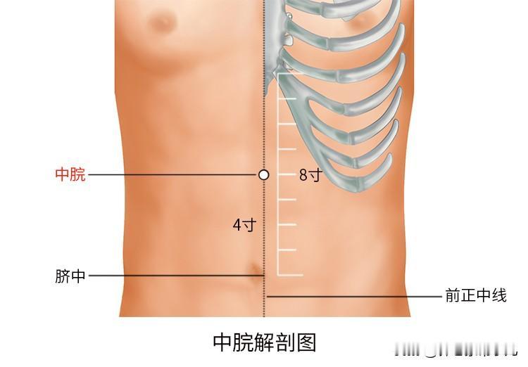 上午10点养脾胃黄金时刻懂养生的人都知道，上午9点至11点是脾经当令，正是