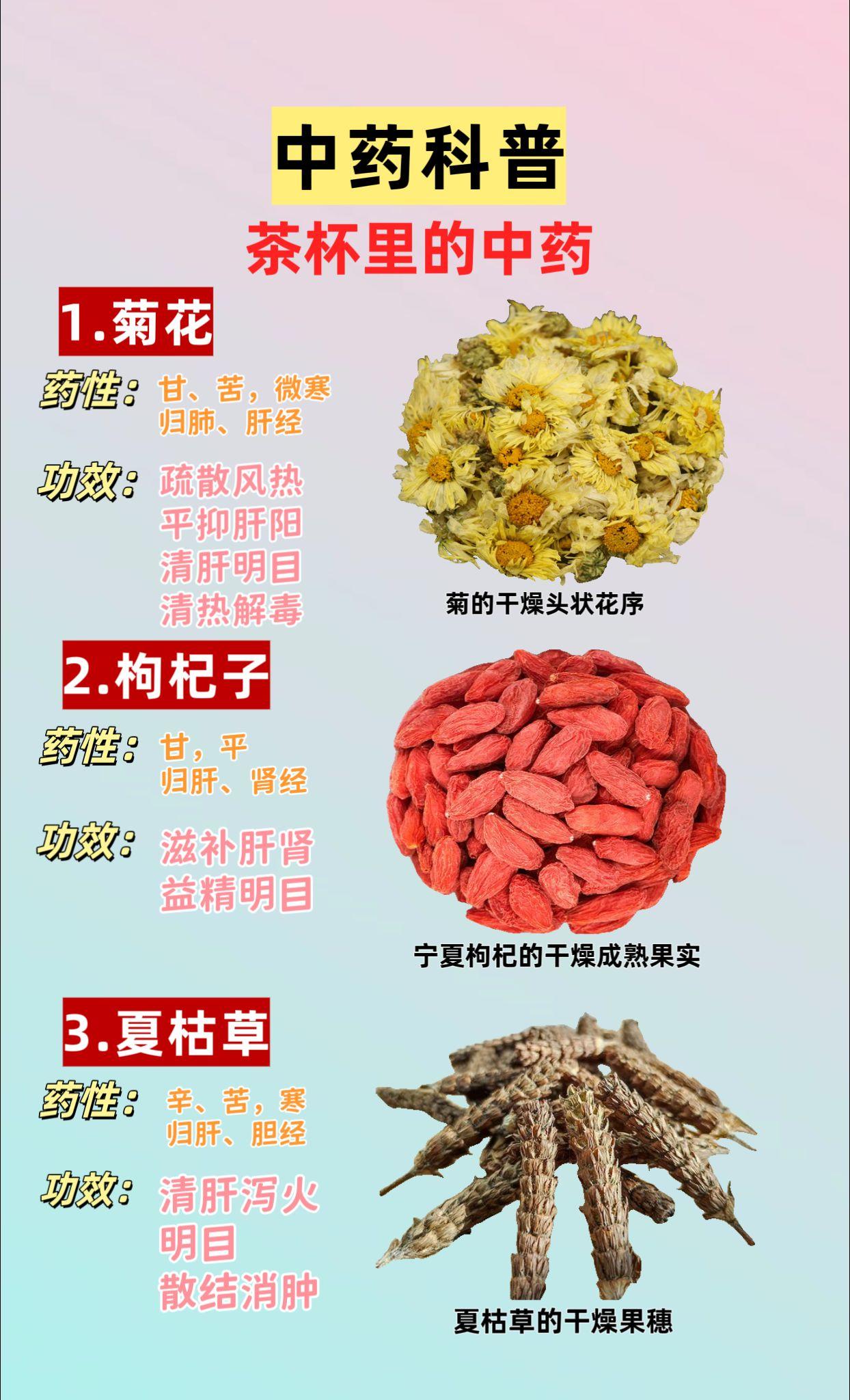 中药科普 茶杯里的中药。