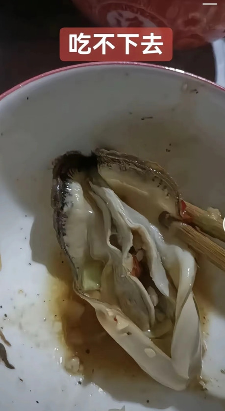 刺身的生蚝，你们敢吃吗？
