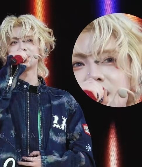 鹿晗歌敏感对虫子就不敏感鹿晗演唱会脸上有个虫子，专注唱歌竟然一点没发现，下来看