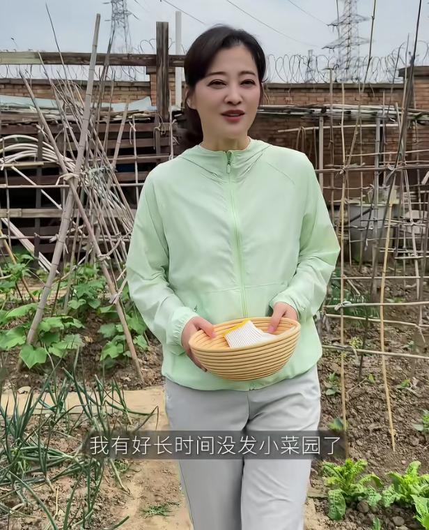 梅婷晒小菜园……她说好久没晒自己的小菜园了，菜都长得好高了，她还说现摘现炒，鲜